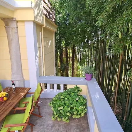 Bamboo 5 *
