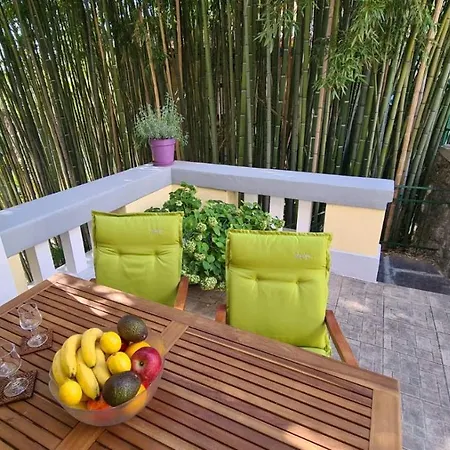 Bamboo 5 オパティヤ